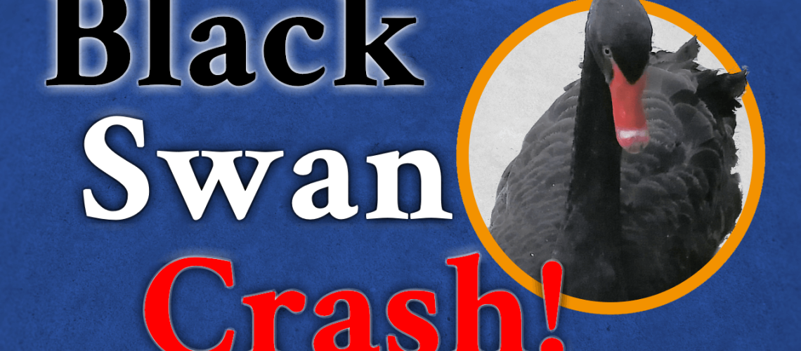 Thumb - Schwarzer Schwan